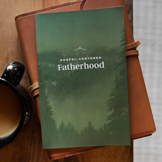 The Daily Grace Co - Gospel-Centered Fatherhood