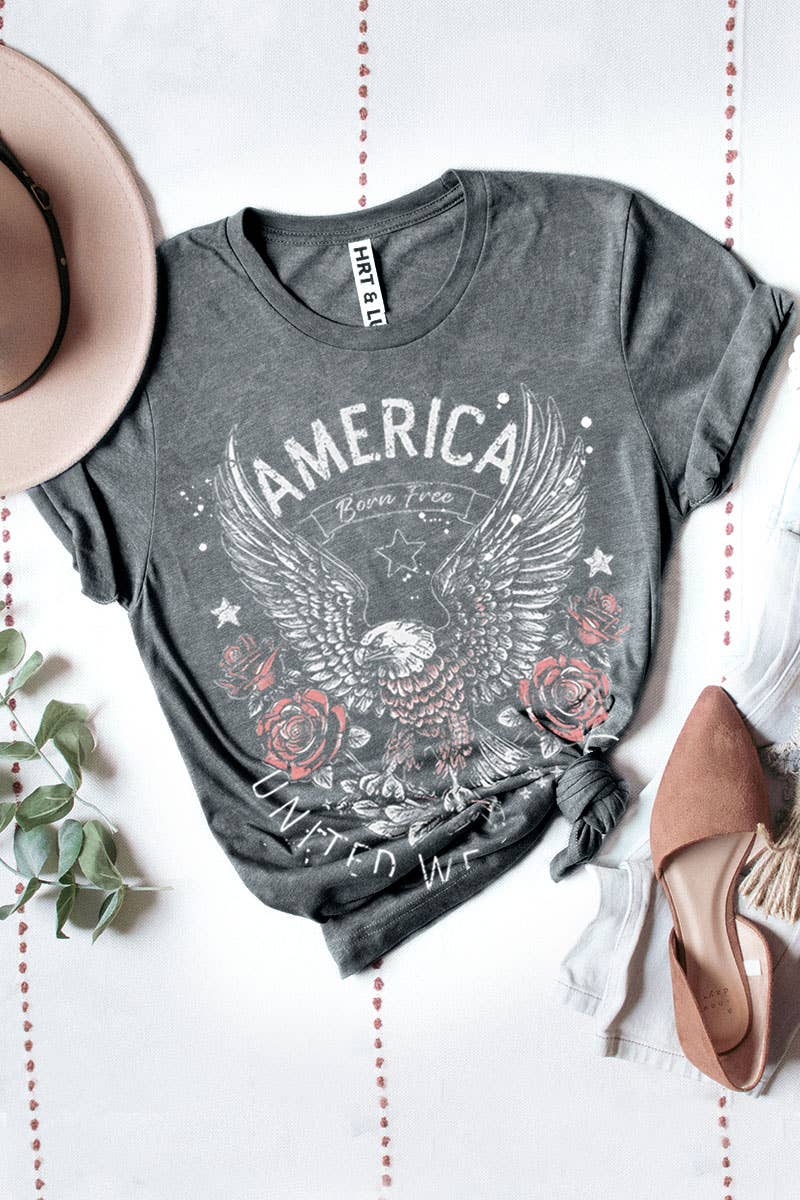 HRTandLUV - AMERICA UNITED WE STAND MINERAL GRAPHIC TEE: Mineral Navy / S