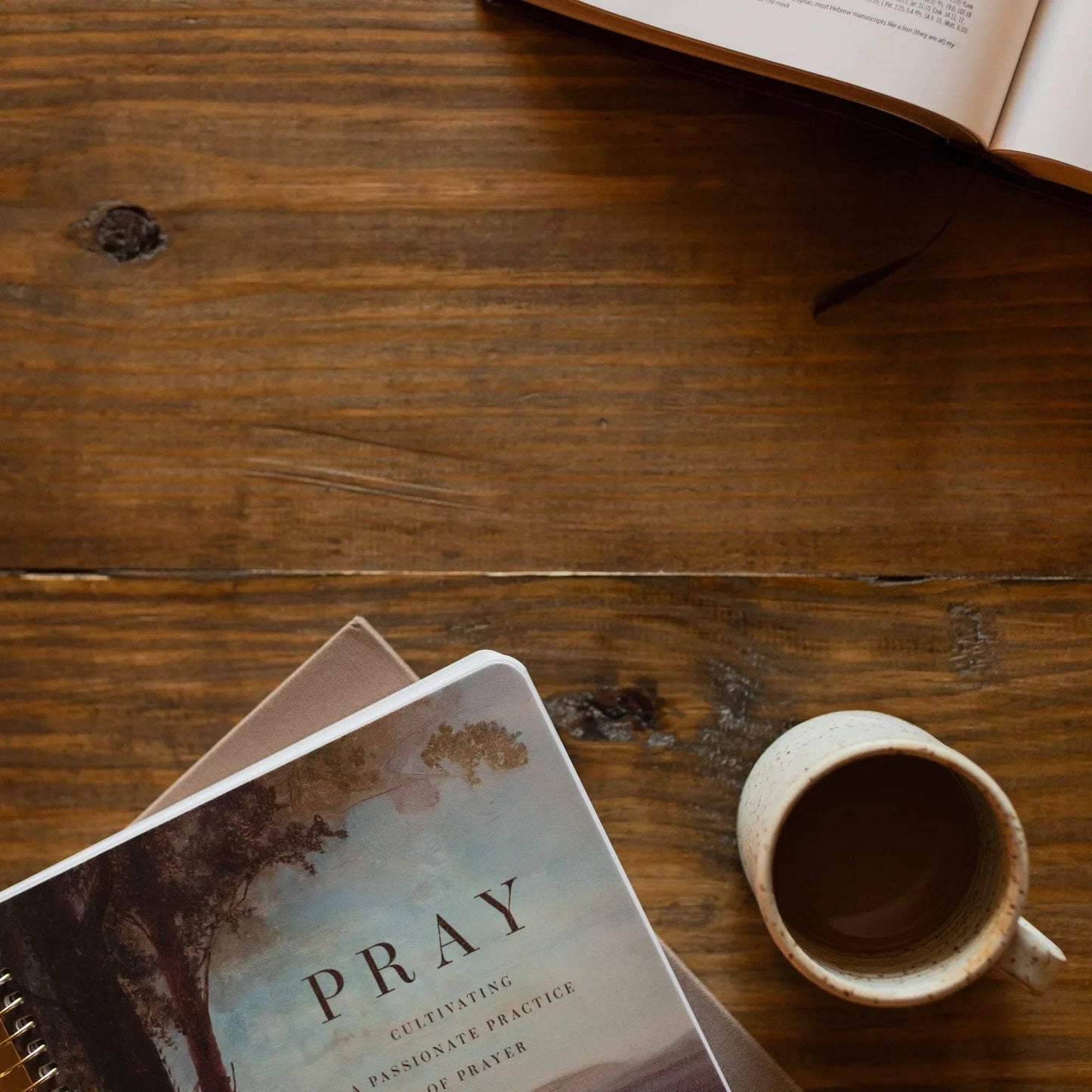 The Daily Grace Co - Pray Spiral Bible Study