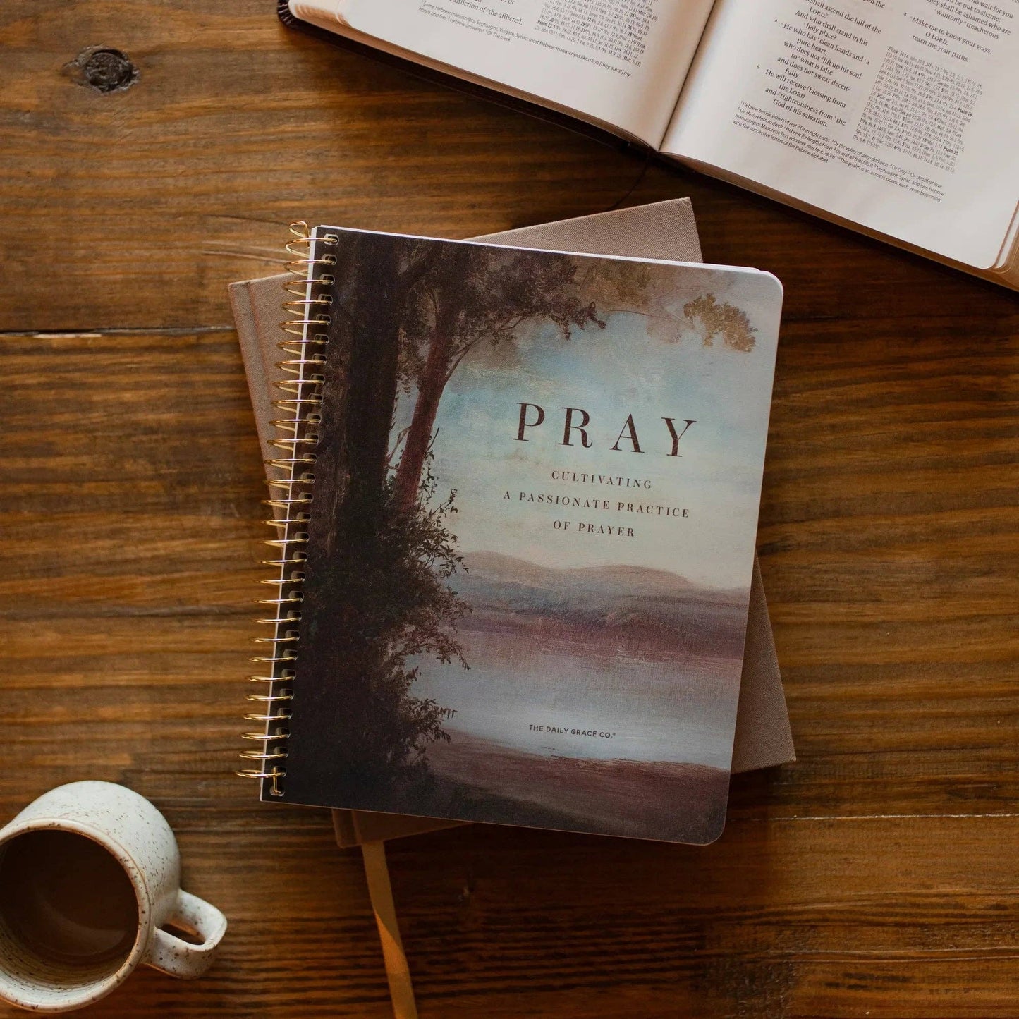 The Daily Grace Co - Pray Spiral Bible Study