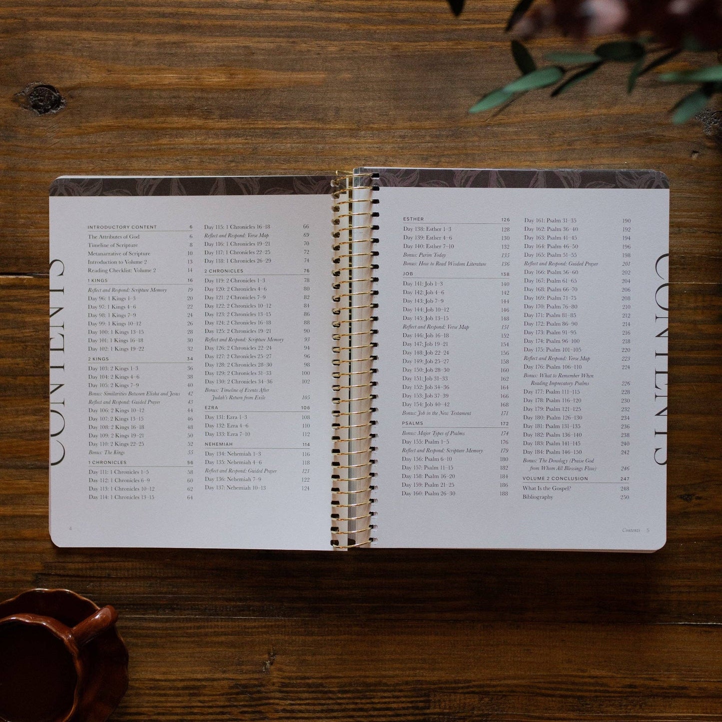 The Daily Grace Co - A Year in the Bible | Volume 2 Bible Study