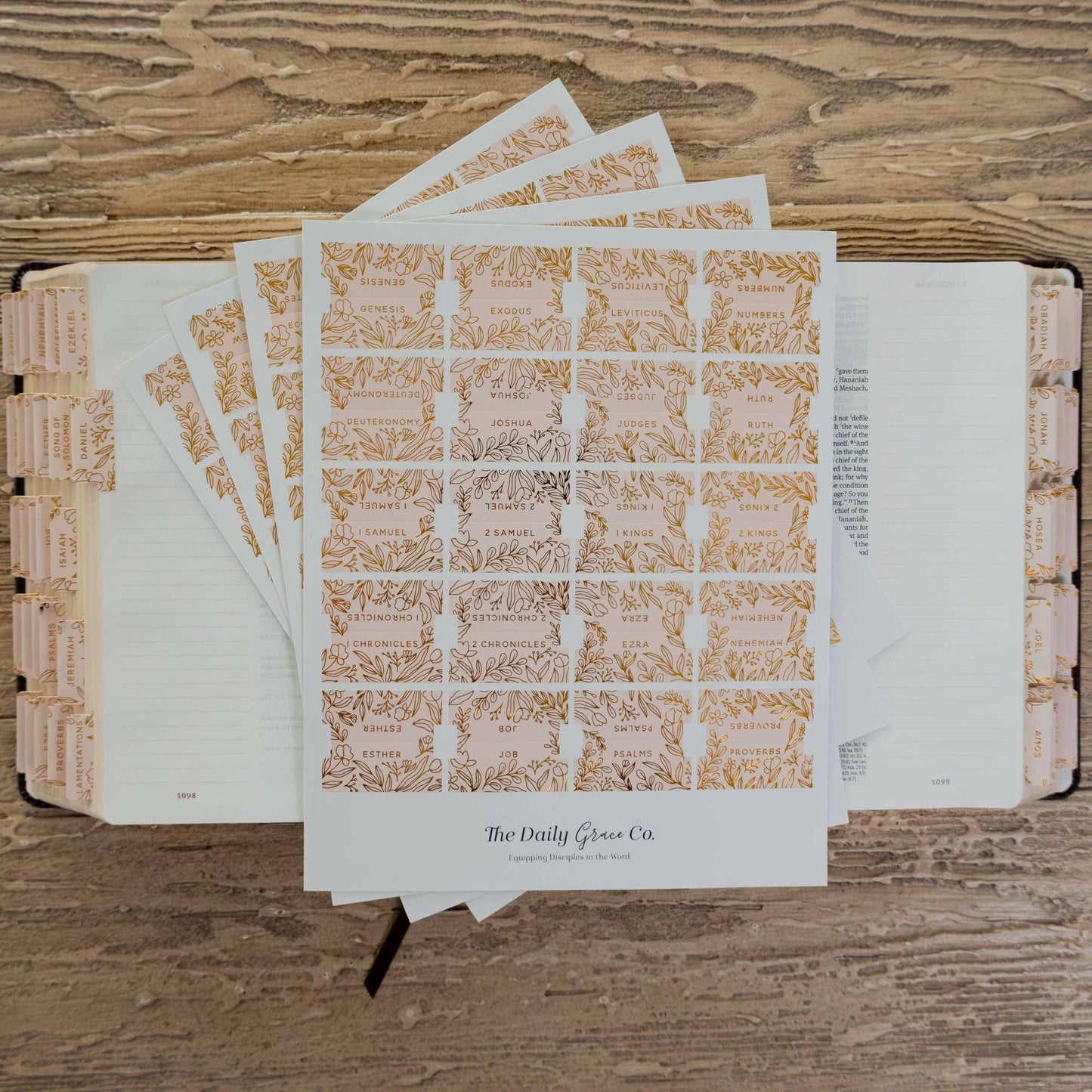 The Daily Grace Co - Gold Foil Bible Tabs - Carnation