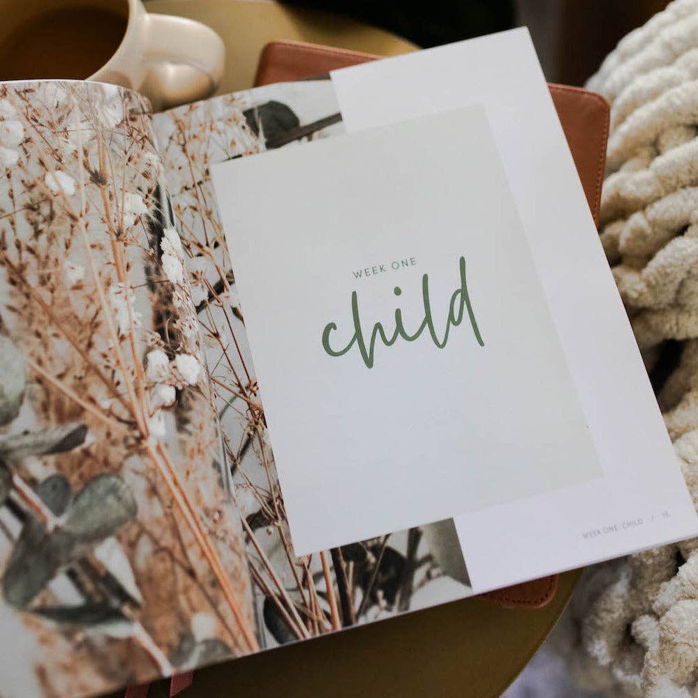 The Daily Grace Co - Worthy Bible Study