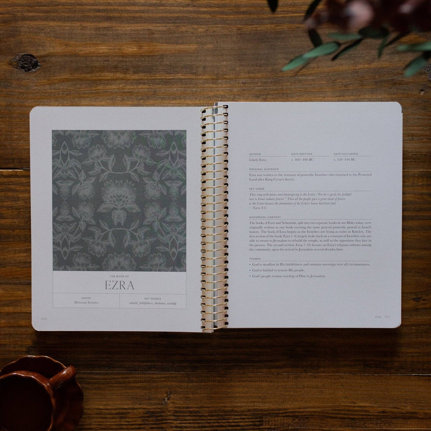 The Daily Grace Co - A Year in the Bible | Volume 2 Bible Study
