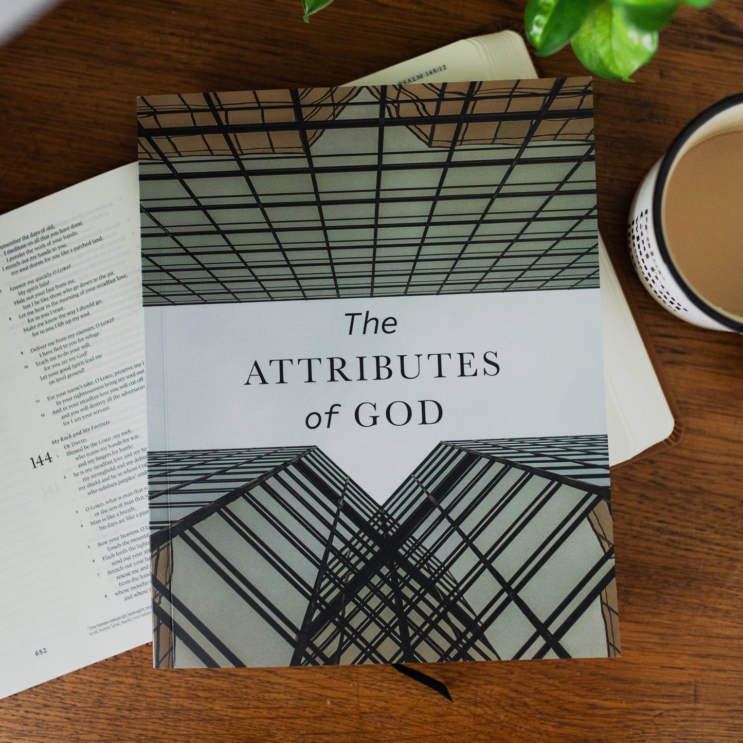 The Daily Grace Co - The Attributes of God Men's Bible Study