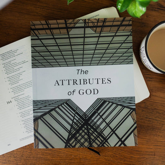 The Daily Grace Co - The Attributes of God Men's Bible Study