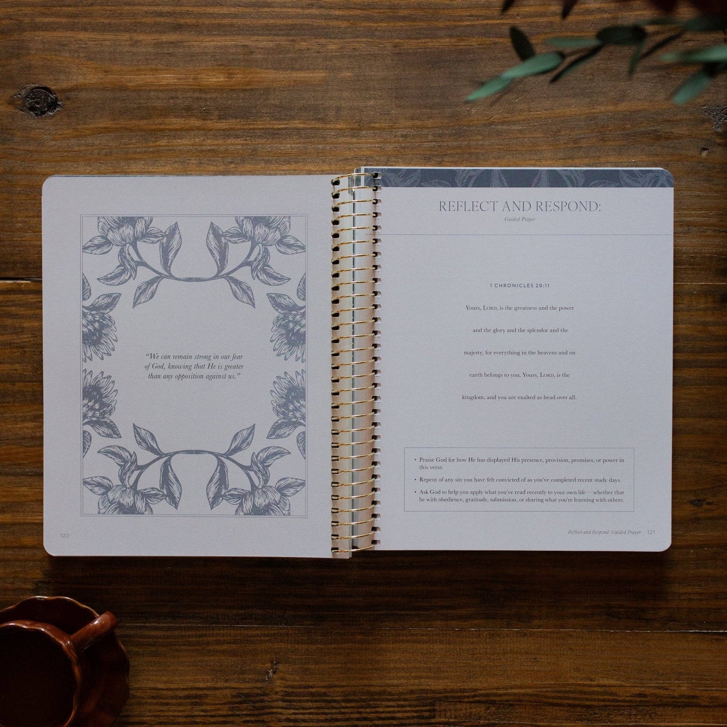 The Daily Grace Co - A Year in the Bible | Volume 2 Bible Study