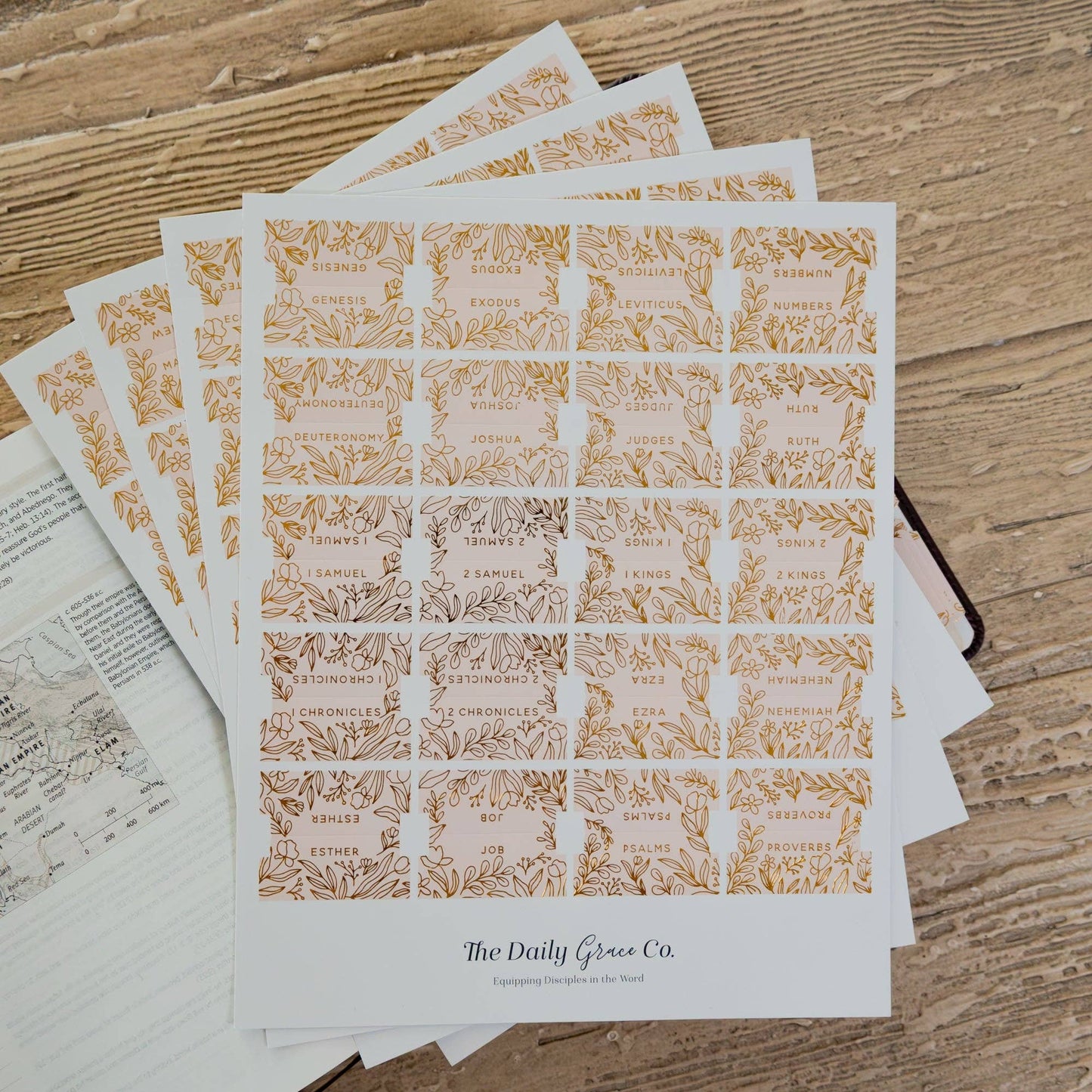 The Daily Grace Co - Gold Foil Bible Tabs - Carnation