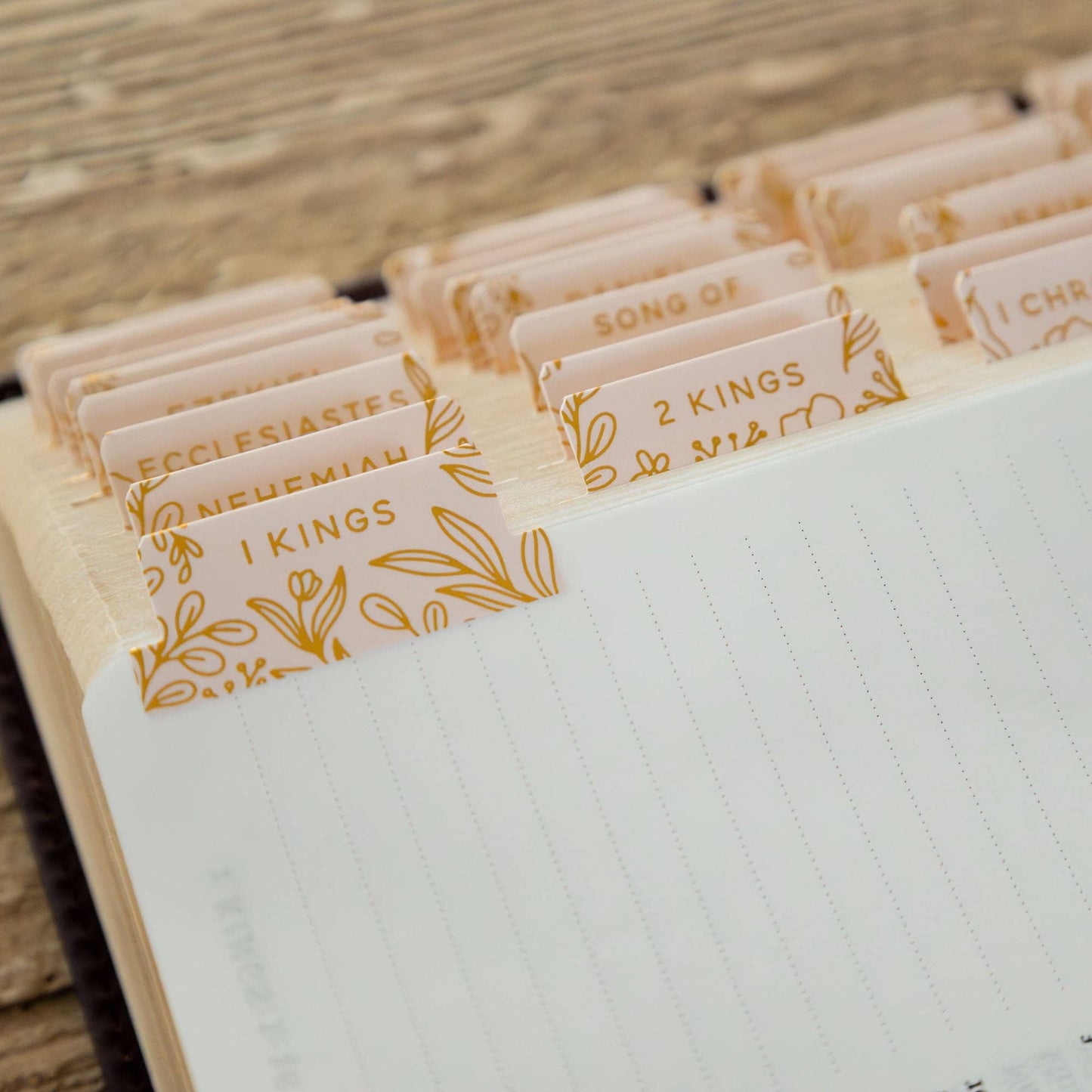 The Daily Grace Co - Gold Foil Bible Tabs - Carnation