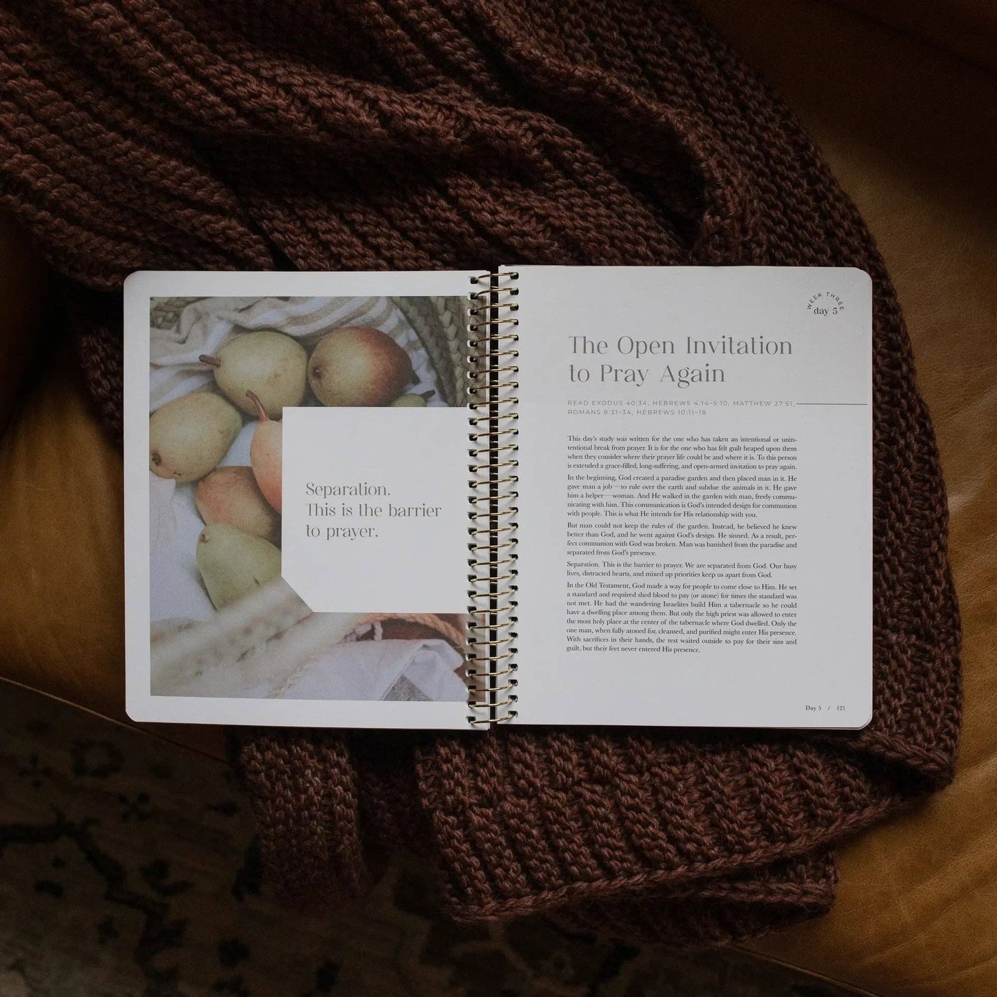 The Daily Grace Co - Pray Spiral Bible Study