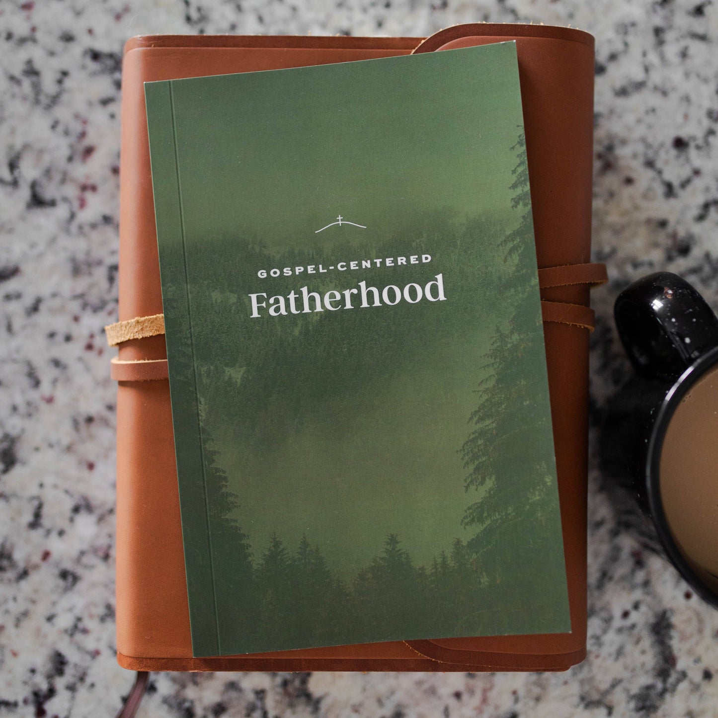 The Daily Grace Co - Gospel-Centered Fatherhood