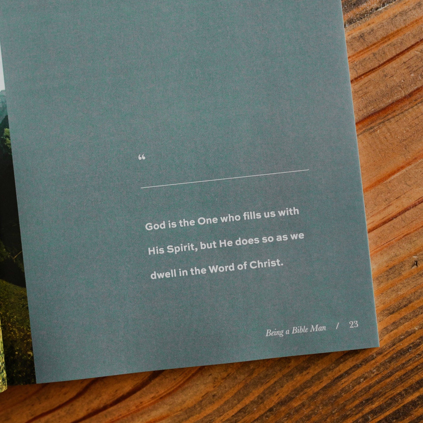 The Daily Grace Co - Gospel-Centered Fatherhood
