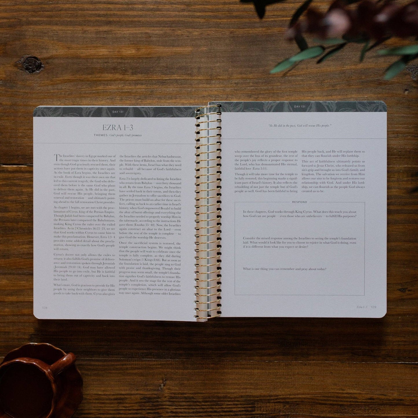 The Daily Grace Co - A Year in the Bible | Volume 2 Bible Study