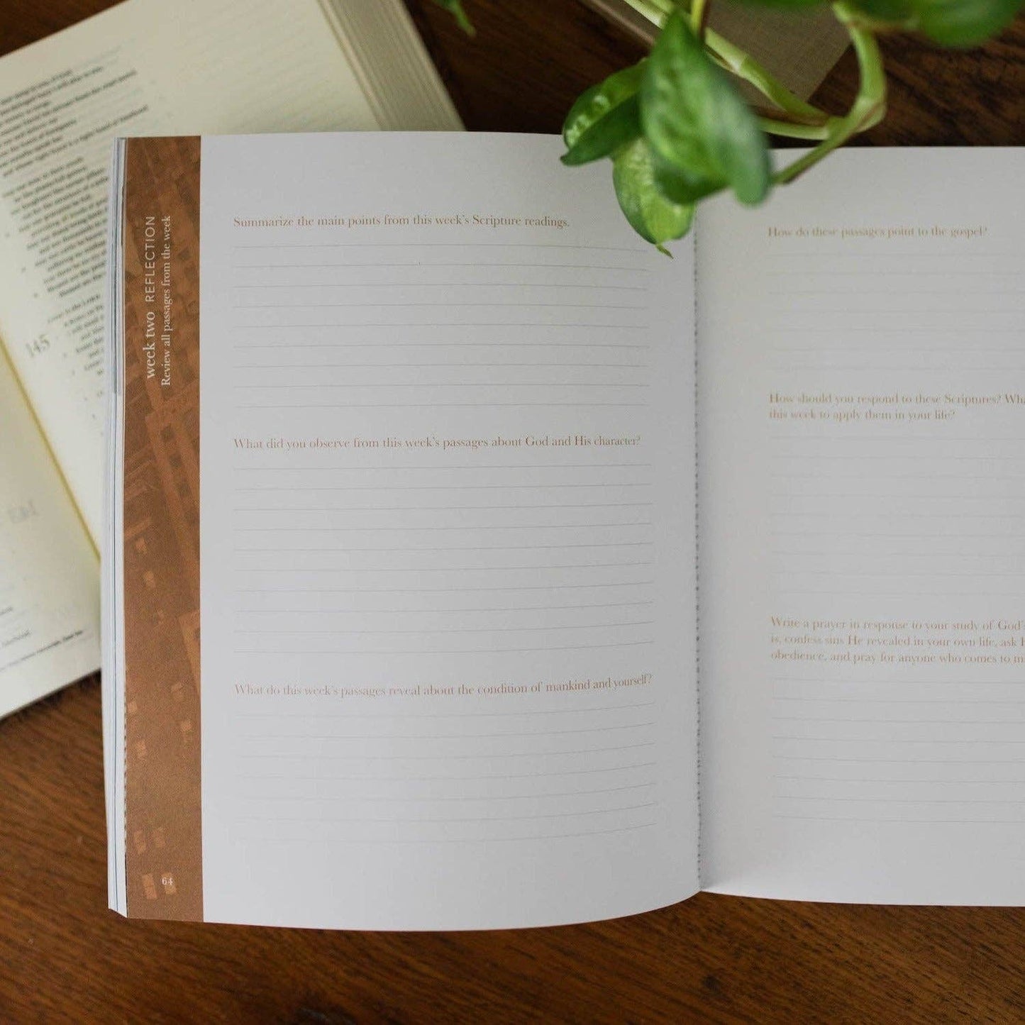 The Daily Grace Co - The Attributes of God Men's Bible Study