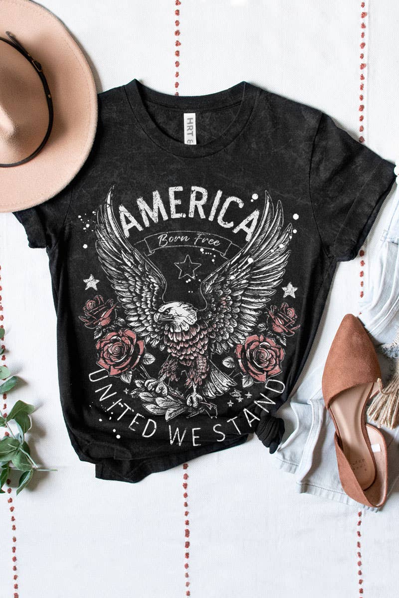 HRTandLUV - AMERICA UNITED WE STAND MINERAL GRAPHIC TEE: Mineral Navy / XL