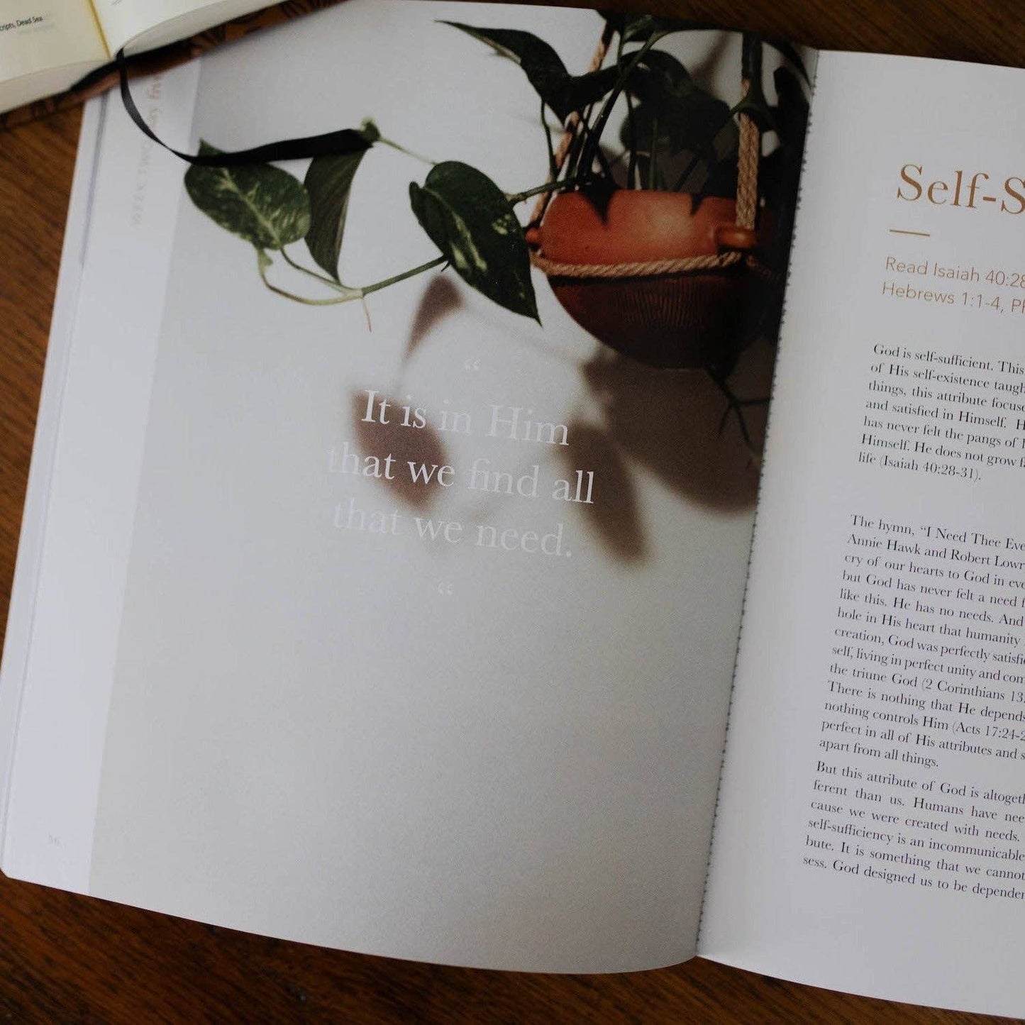 The Daily Grace Co - The Attributes of God Men's Bible Study