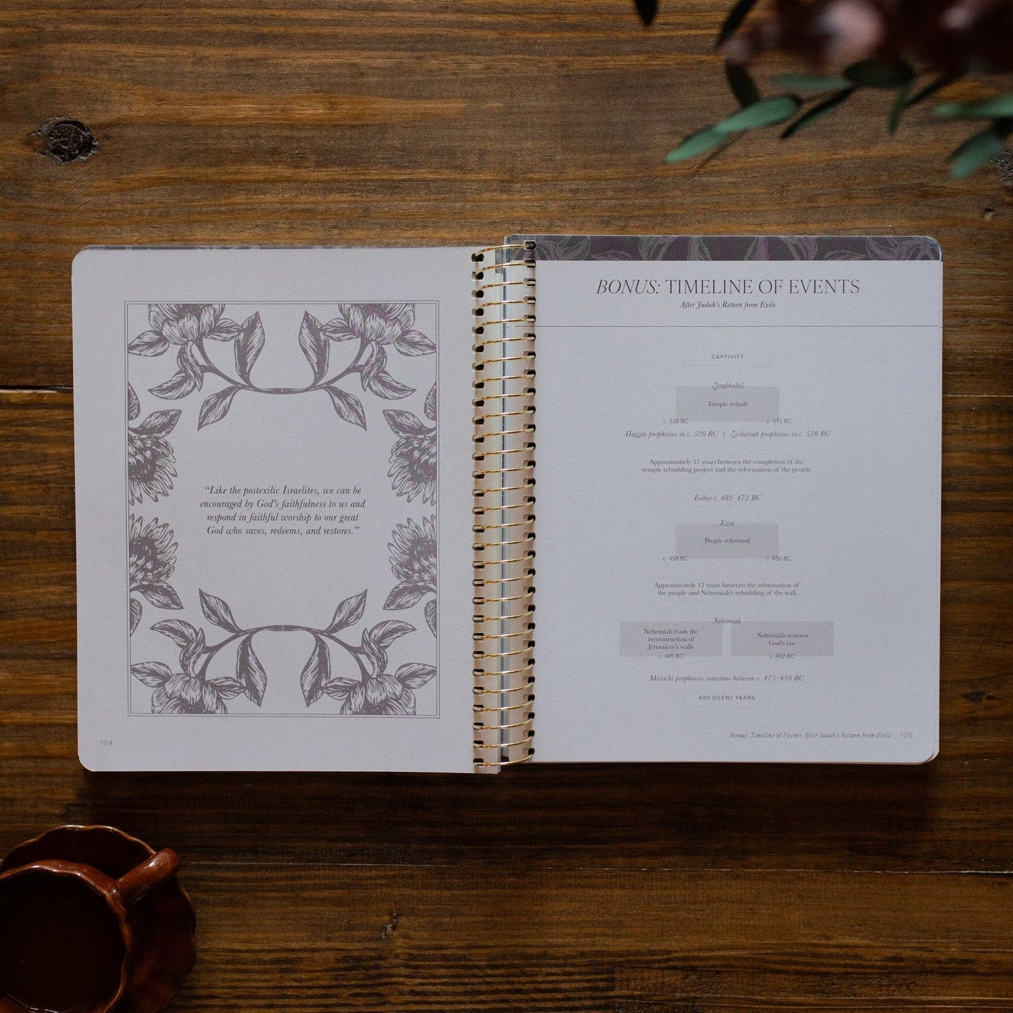 The Daily Grace Co - A Year in the Bible | Volume 2 Bible Study