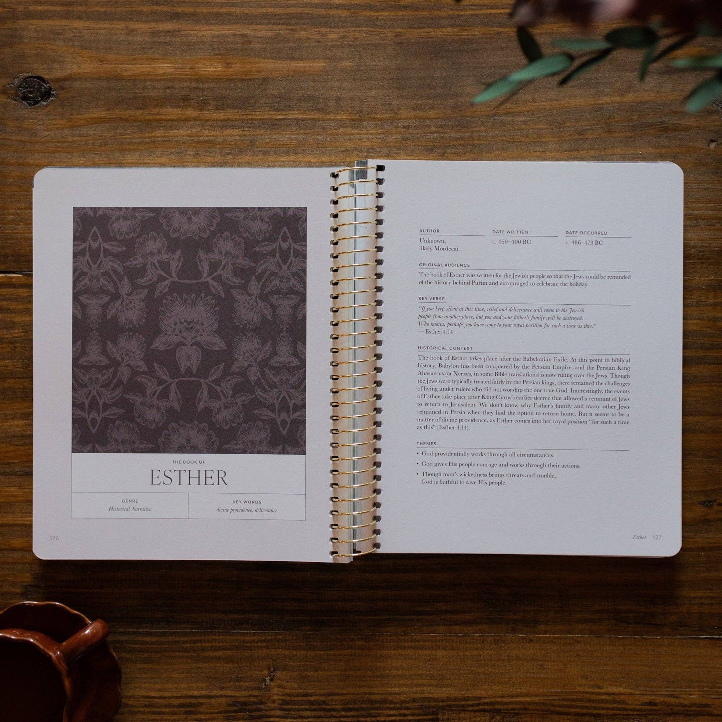 The Daily Grace Co - A Year in the Bible | Volume 2 Bible Study
