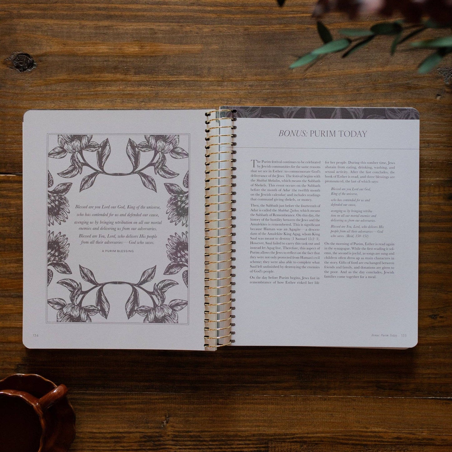 The Daily Grace Co - A Year in the Bible | Volume 2 Bible Study