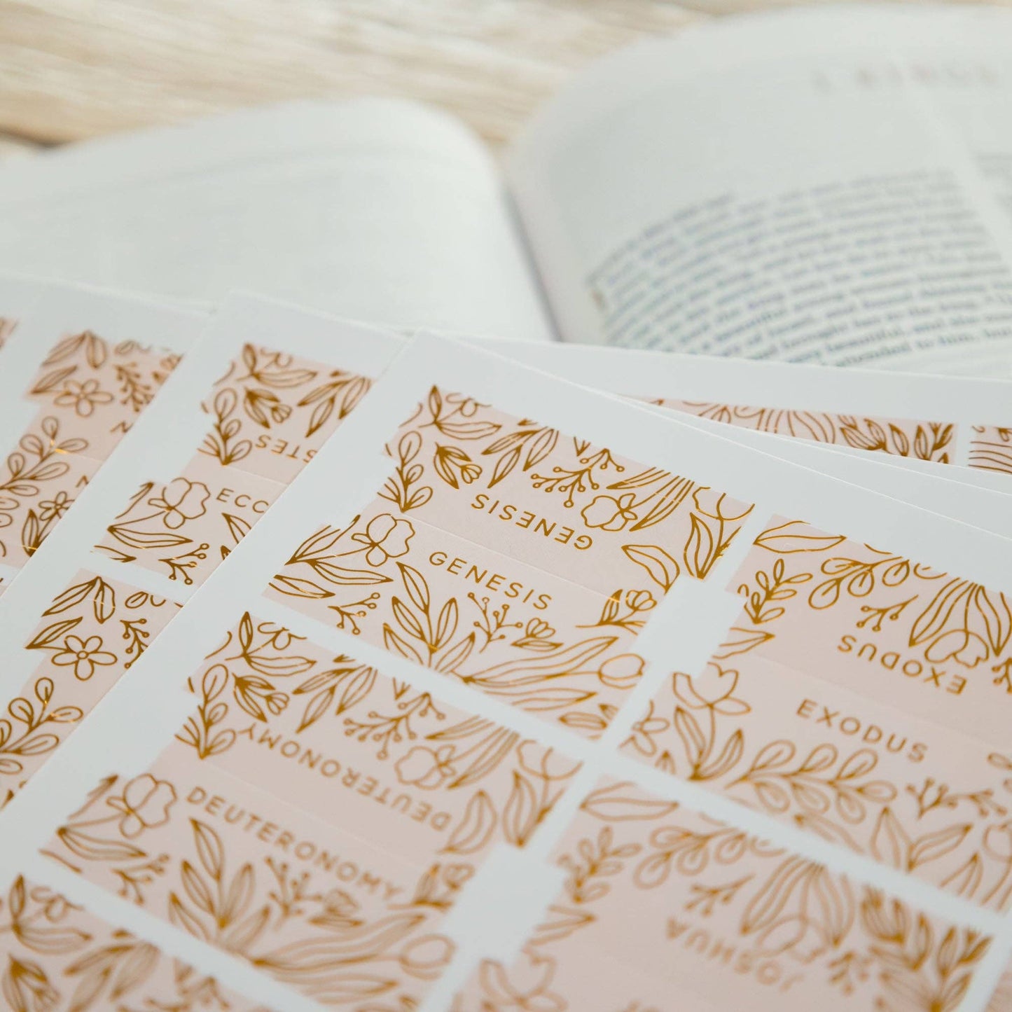 The Daily Grace Co - Gold Foil Bible Tabs - Carnation