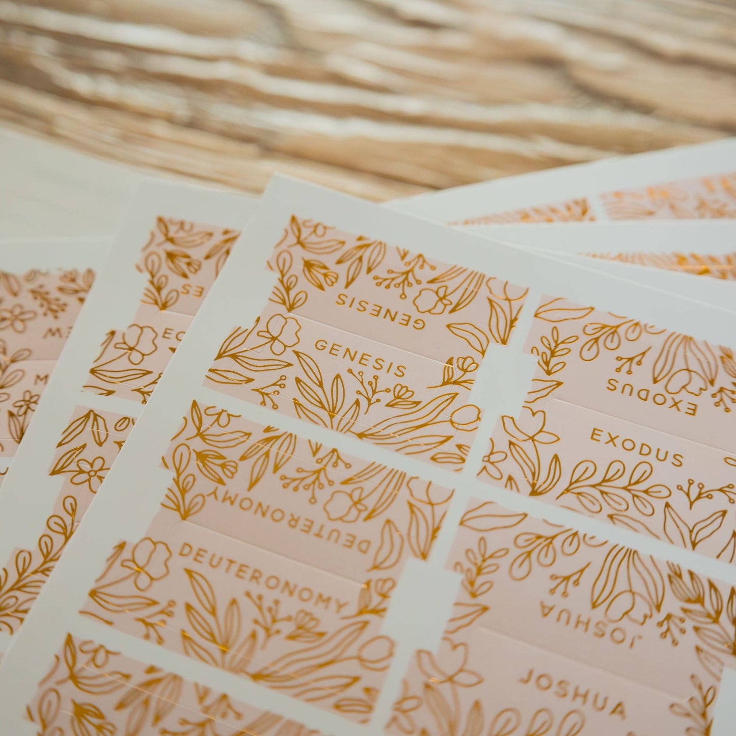 The Daily Grace Co - Gold Foil Bible Tabs - Carnation