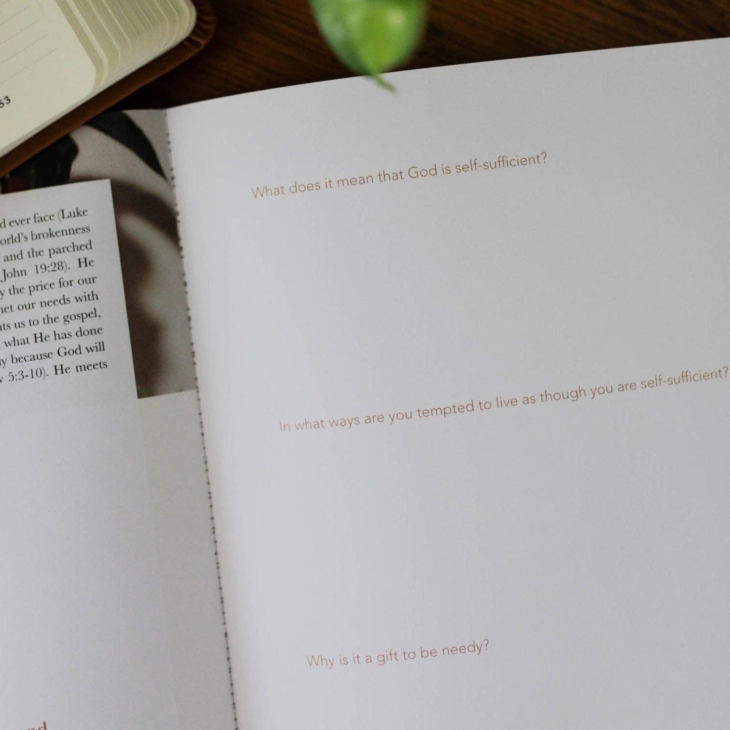 The Daily Grace Co - The Attributes of God Men's Bible Study