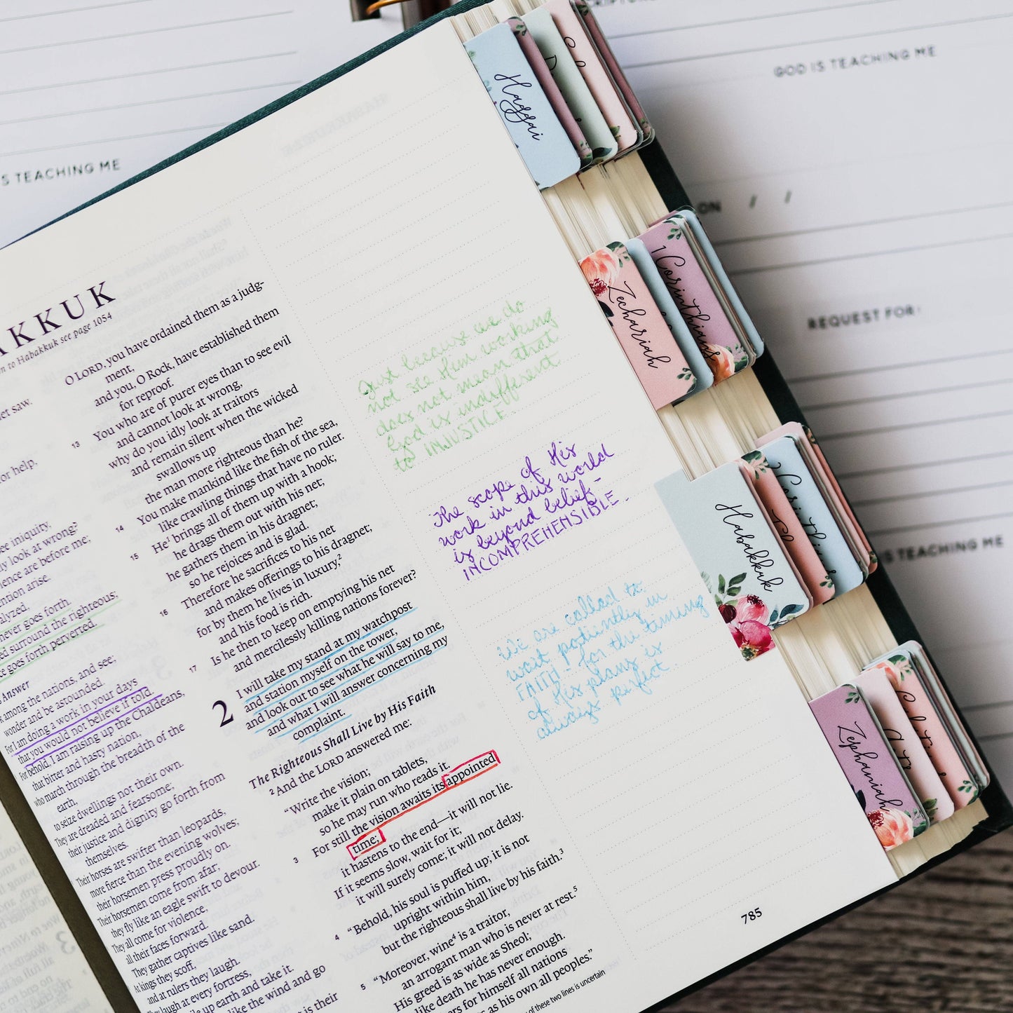 The Daily Grace Co - Floral Bible Tabs