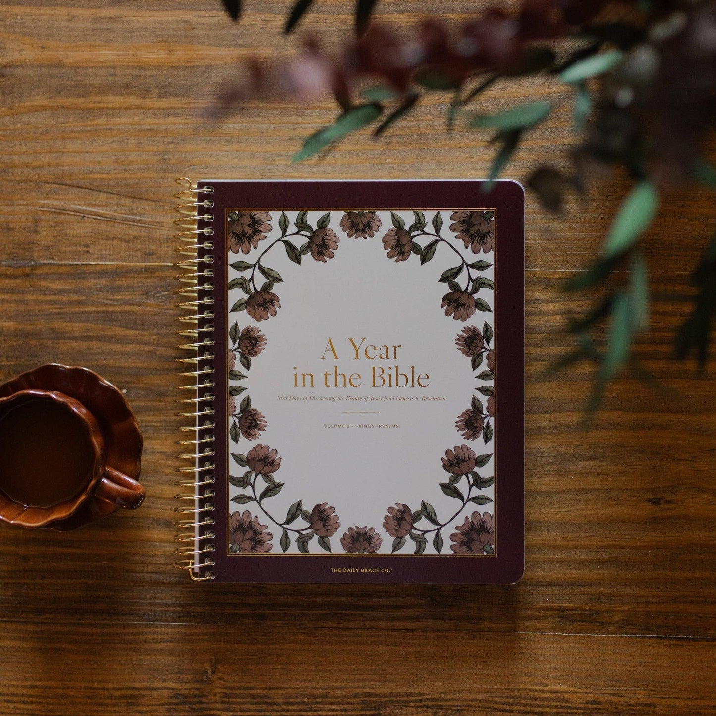 The Daily Grace Co - A Year in the Bible | Volume 2 Bible Study
